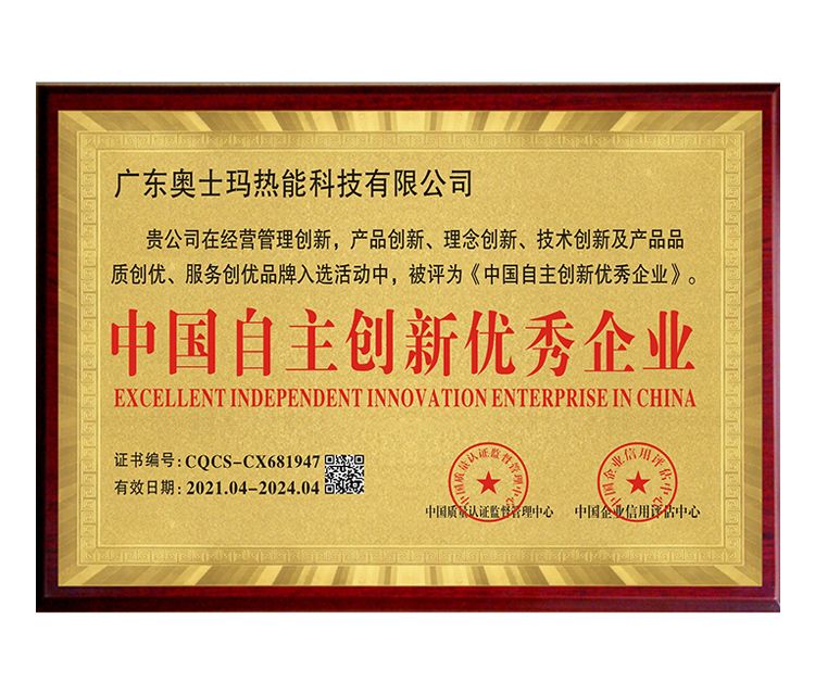 中國自主創(chuàng)新優(yōu)秀企業(yè)